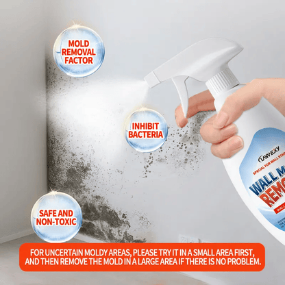 Lanwexy Highly Effective Mould Removal Spray - Prevents Mould Regrowth