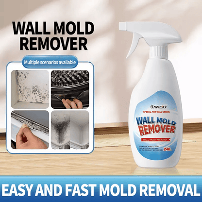 Lanwexy Highly Effective Mould Removal Spray - Prevents Mould Regrowth