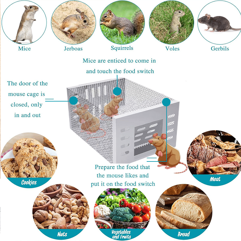 🚀🐭Stainless Steel Automatic Mousetrap