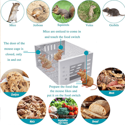 🚀🐭Stainless Steel Automatic Mousetrap