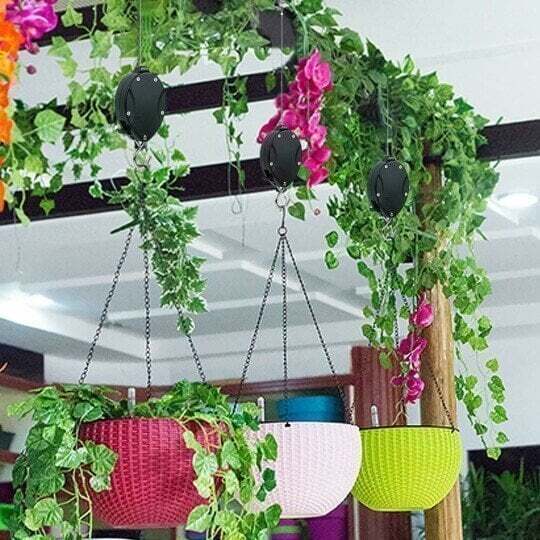 Mess-Free Plant Hanging