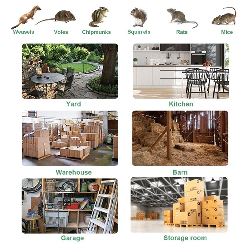 🚀🐭Stainless Steel Automatic Mousetrap