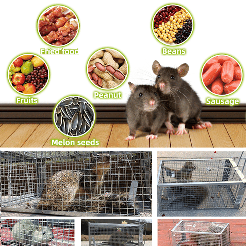 🚀🐭Stainless Steel Automatic Mousetrap