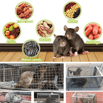 🚀🐭Stainless Steel Automatic Mousetrap