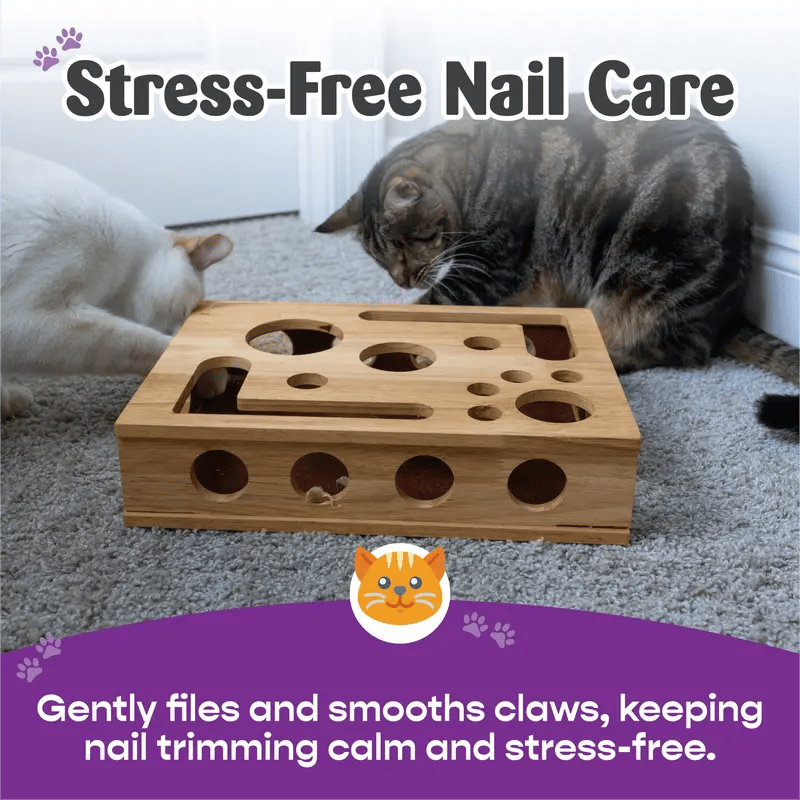 🎁🎄Cat Scratch Puzzle Enrichment Box: Nail File Stress Free Alternative to Clippers and Grinders