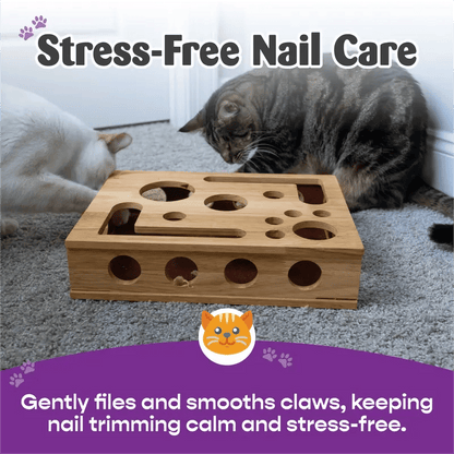🎁🎄Cat Scratch Puzzle Enrichment Box: Nail File Stress Free Alternative to Clippers and Grinders